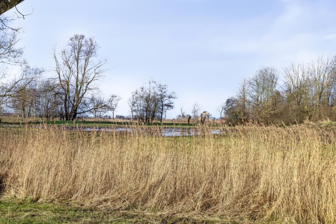 Mudaheerd 102, 9737 XD, Groningen