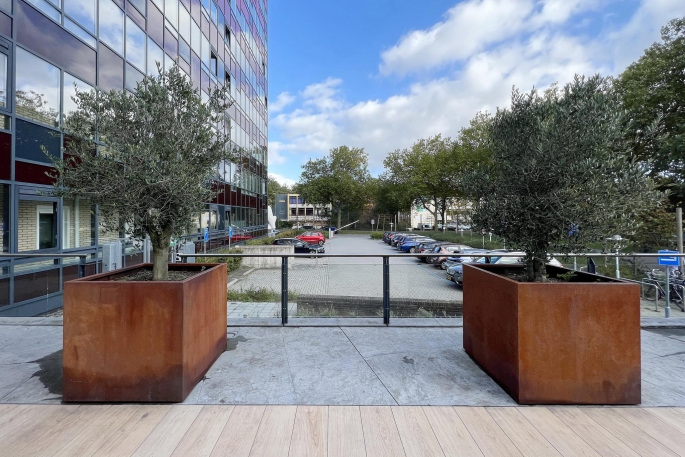 Laan van Vollenhove 210, 3706 AA, Zeist