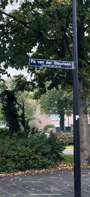 Pa van der Steurlaan 1, 2285 VW, Rijswijk
