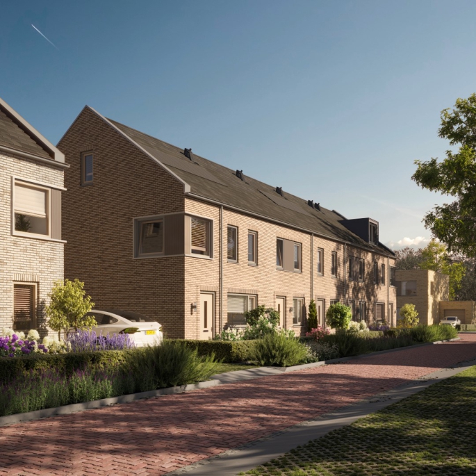 Libellehof, Populier, Heerhugowaard