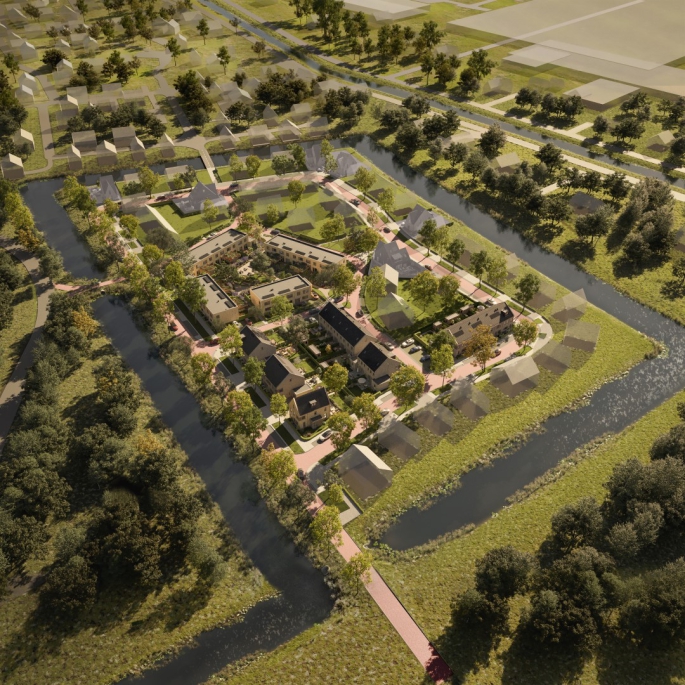 Libellehof, Populier, Heerhugowaard