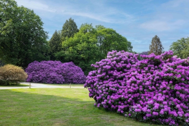 Meerwijkselaan 9, 6571 CN, Berg en dal