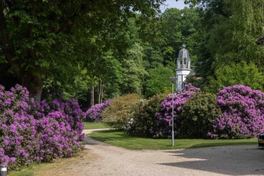 Meerwijkselaan 9, 6571 CN, Berg en dal