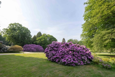 Meerwijkselaan 9, 6571 CN, Berg en dal