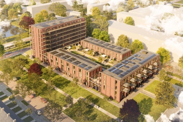 Salix, Rotterdam