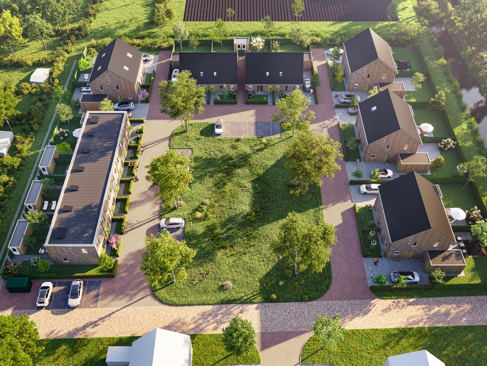 Stek, Ridderspoor, Smilde
