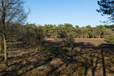 Asserstraat 23, 9451 AA, Rolde